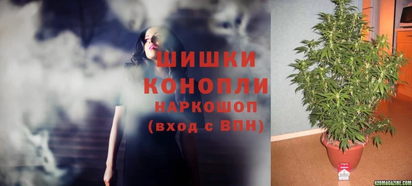 2c-b Белокуриха