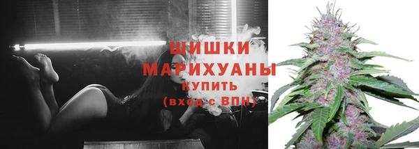 шишки Богородицк