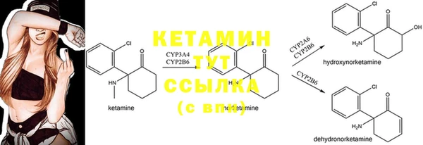 стаф Богородск