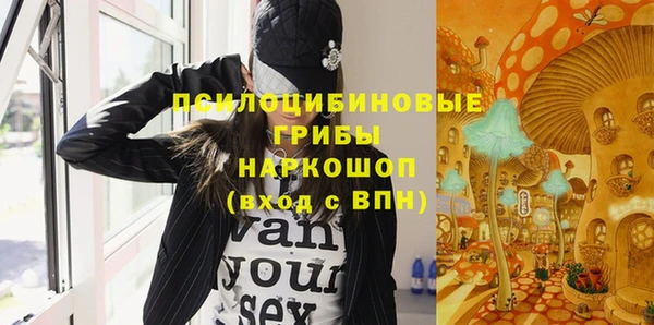 шишки Богородицк