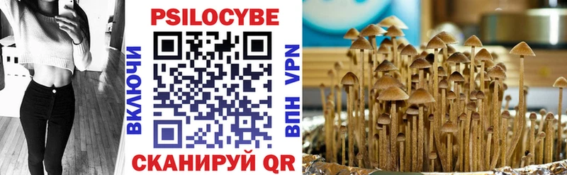 Галлюциногенные грибы GOLDEN TEACHER  Богданович 